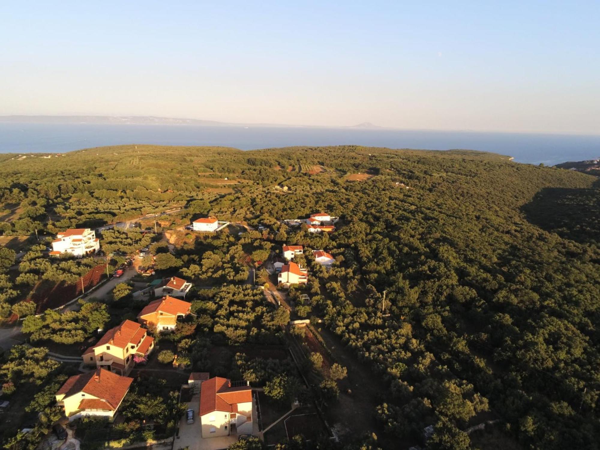 Belavic - Kazuni